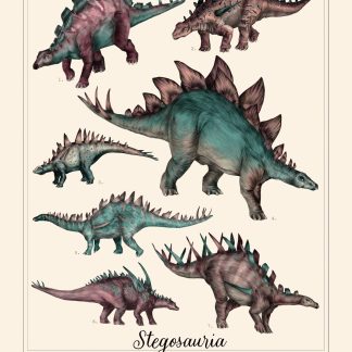 Affiche Stegosauria