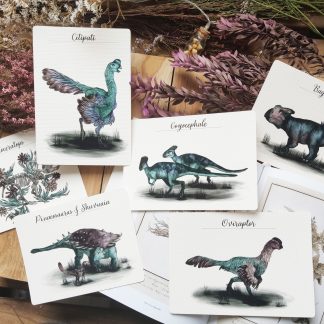 Pack Complet Djadochta "Dinosaurs only"