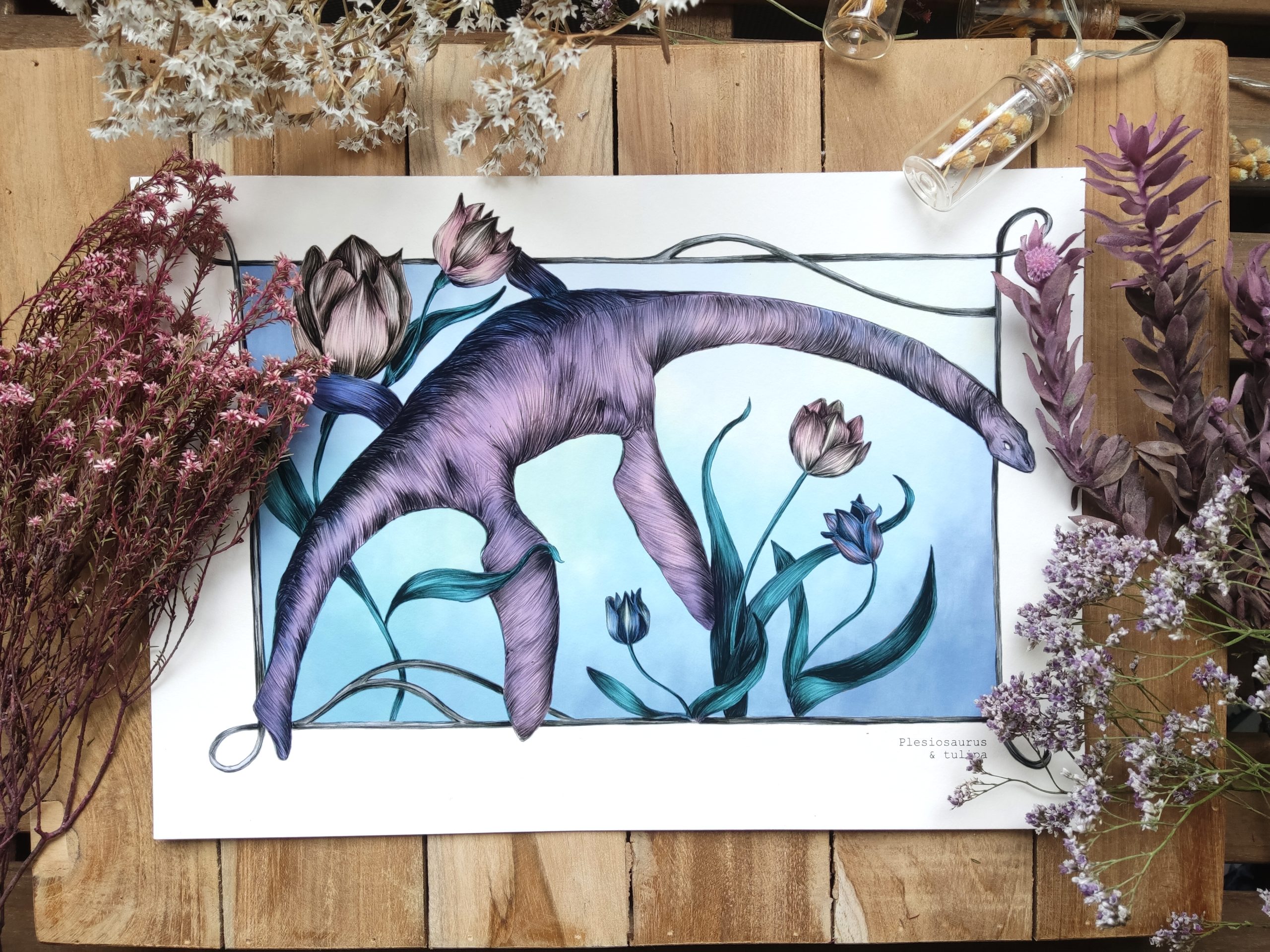 plesiosaurus_couv