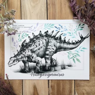 Huayangosaurus "Science & Aquarelle"